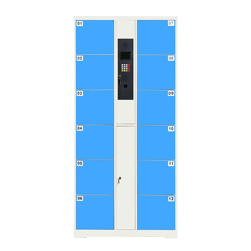 振奥 电子存包柜商场超市单位智能寄存柜储物柜指纹款12门24门48门