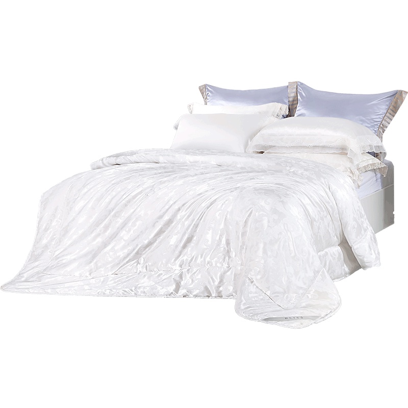 百丽丝家纺 水星出品 柔绒保暖双人二合一被 蕾欧娜桑蚕丝春秋/冬被 被子被芯