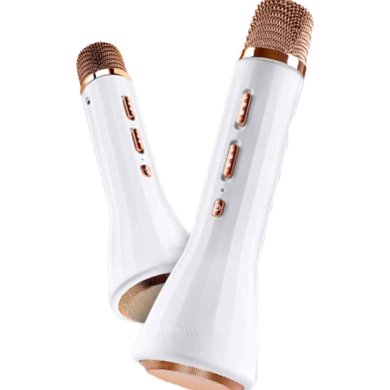 联想 Lenovo BM10 麦克风无线蓝牙 全民K歌音响一体话筒 手机电脑通用全能声卡麦家庭ktv扩音器 白金版