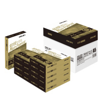得力 铂锐70g A5复印纸 单包500张 10包-70g-A5