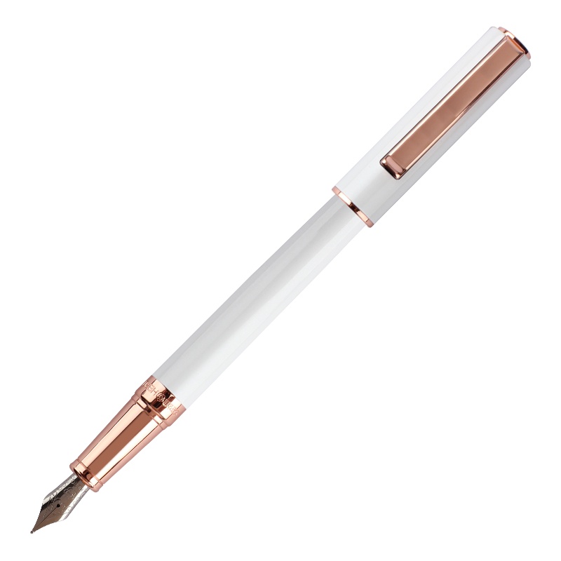 英雄（HERO）钢笔商务办公铱金钢笔 珠光喷漆笔身简约型墨水礼盒套装8207