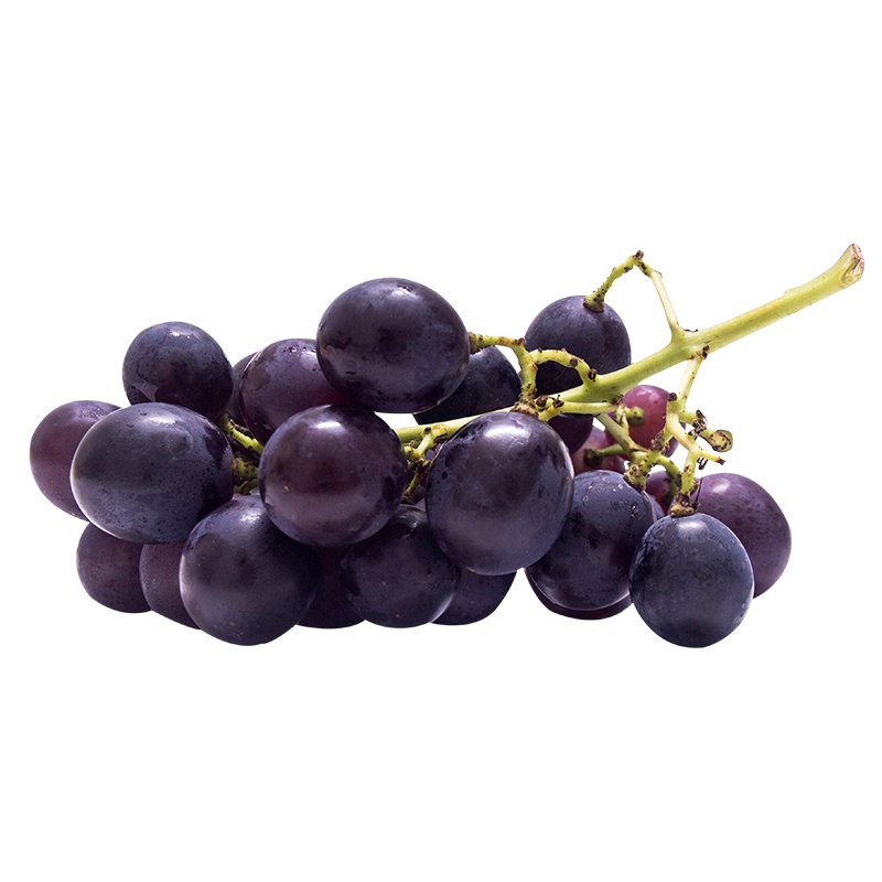 [现摘现发]云南正宗建水自然熟夏黑葡萄 高原昼夜温差大甜度高 富含花青素 新鲜水果 应季水果