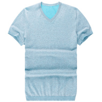 布先生短袖T恤 纯棉针织衫简约花纱V领t 纯色休闲上装男AT10223