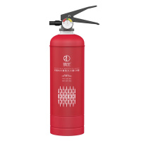 镇定车载灭火器车用2kg干粉小型便携汽车私家车家用消防器材
