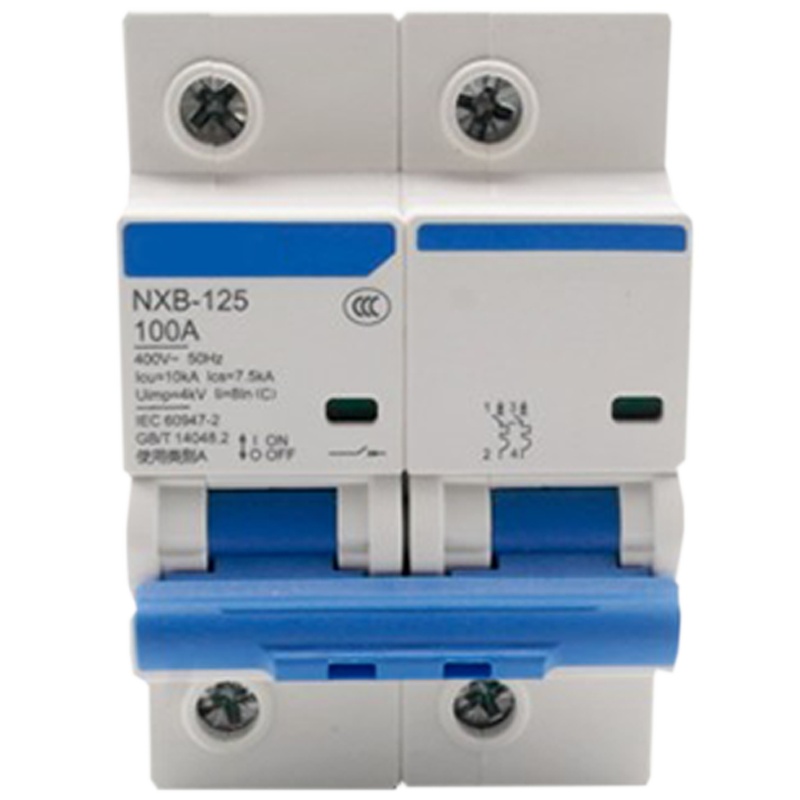 LBYZY NXB微型断路器 小型过载空气开关 NXB-125-2P 80A