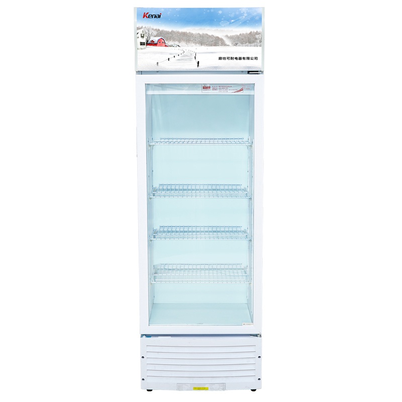 可耐(kenai) 商用冰柜立式展示柜家用冰箱冷柜 直冷陈列柜 超市啤酒饮料柜单门冷藏柜保鲜柜 SC-280