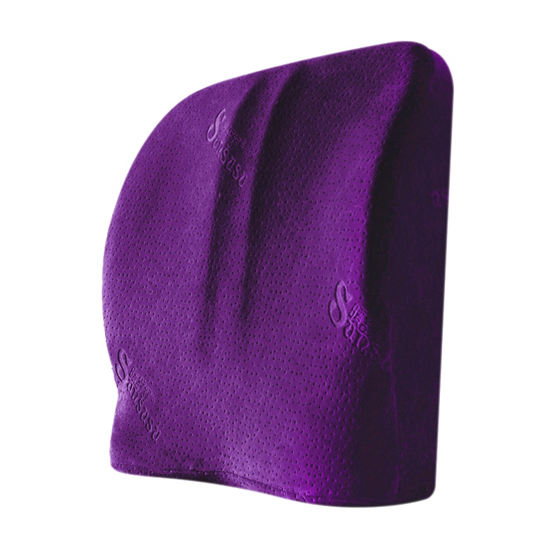 暖舒舒sunsusu 记忆棉护腰靠垫枕芯多功能枕头夏冬季背垫护腰枕汽车抱枕腰垫 双核腰靠竹炭款 单个(新老包装随机)