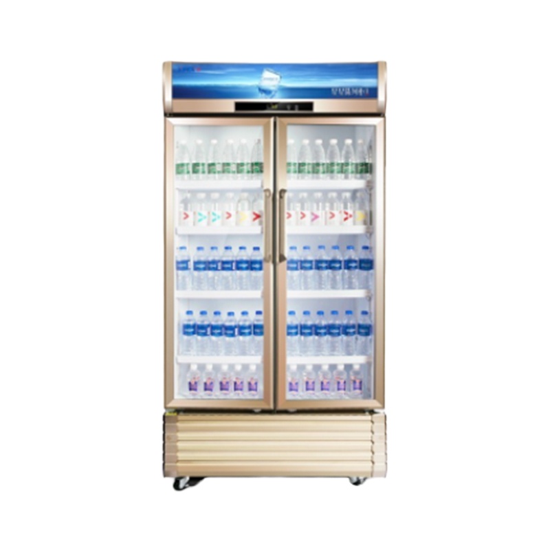 星星(XINGX) 810升 双门冷藏立式商用展示柜 保鲜柜 啤酒饮料陈列柜 LSC-810WD