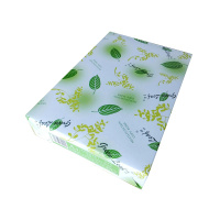绿叶 80克B4 (优等品复印纸 5包/箱 500张/包(单价 元/箱) 厂家直销)
