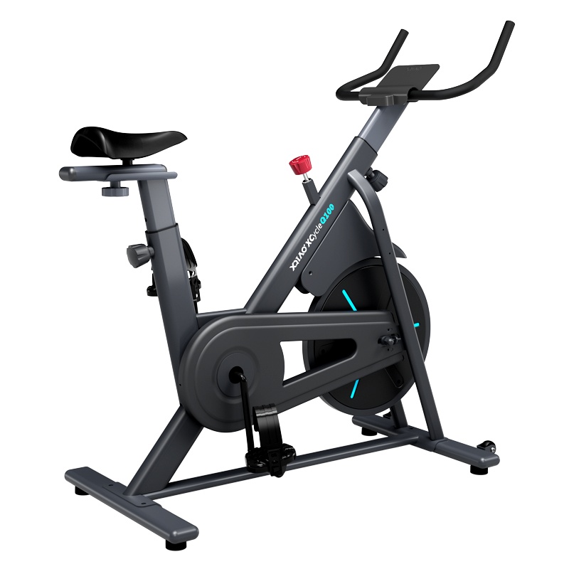 小乔Q100 动感单车家用款减肥器全身运动健身房器材