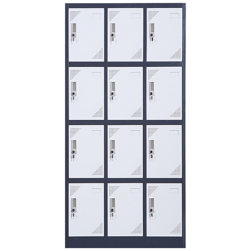 三圣 办公家具加厚12门套色铁皮柜更衣柜 员工储物柜 存放鞋包柜 其他金属更衣柜多功能