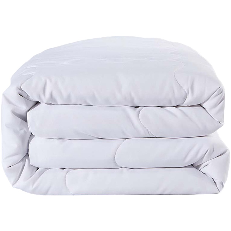 依朴 垫被褥子棉花宿舍棉花被棉胎单人棉絮被褥1米可定制 适合1M床(布包/绗缝 100*200cm 重9斤)