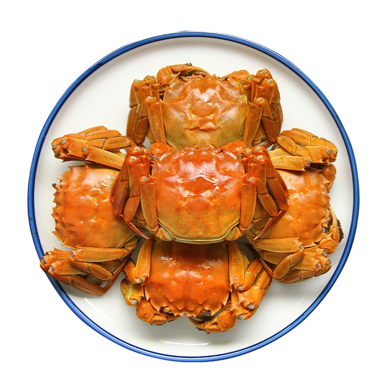 [精品]固城湖大闸蟹蟹礼 财源广进8888型6.0公 5.0母8只装 鲜活到家