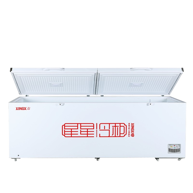 星星(XINGX)975升商用冷柜 强冷冻中梁除霜安全门锁节能省电 BD/BC-1098GE