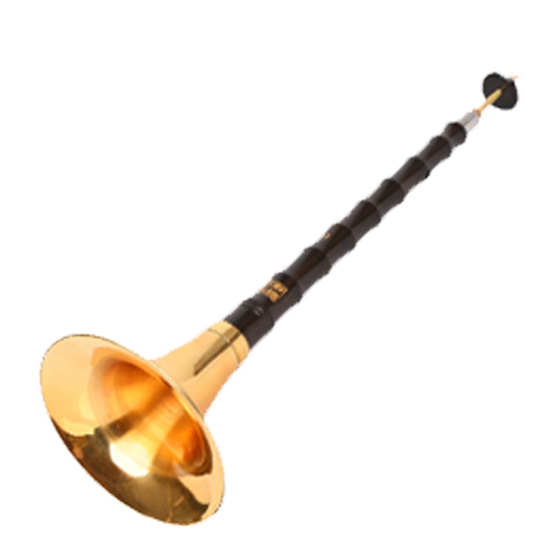 精制初学者唢呐乐器全套乌木唢呐d调成人大小号专业唢呐