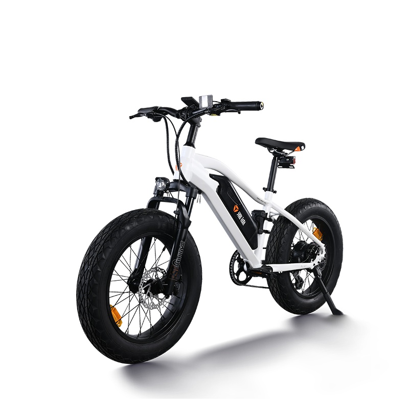 雅迪摩界Mini 20寸36V锂电自行车电动车电池可拆