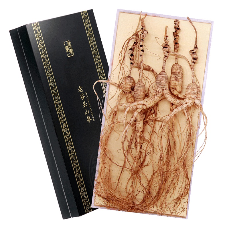 谷记老谷头(GUJI LAOGUTOU) 林下参 25g 整支 长白山人参 林下参礼盒装 滋补保健