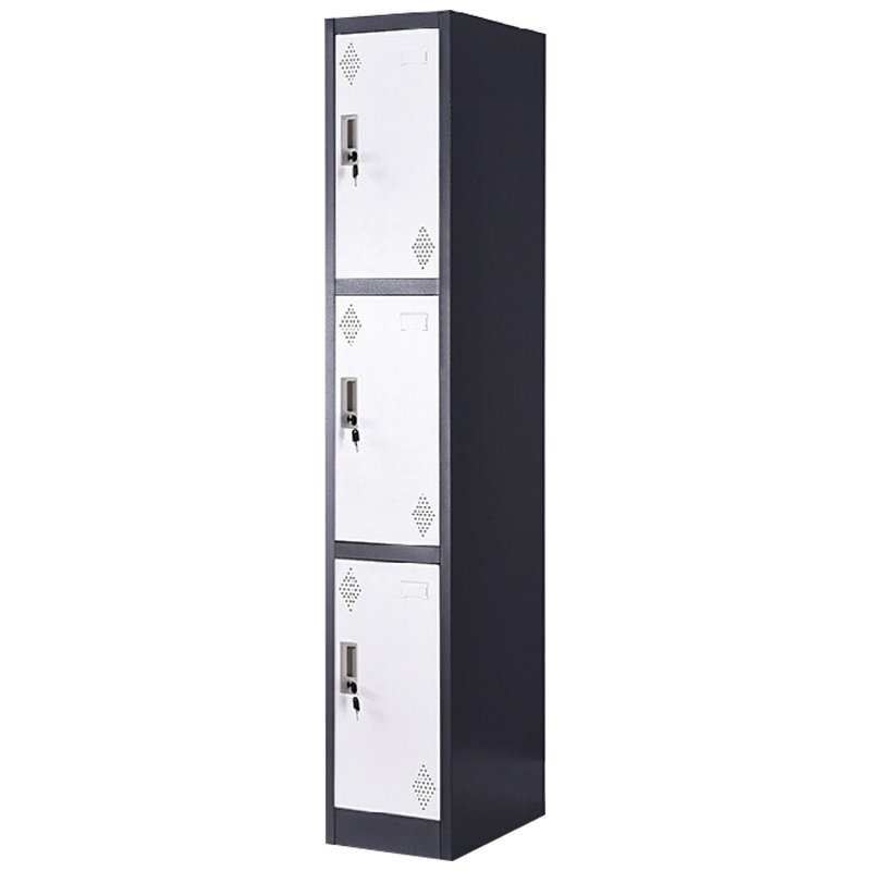 三圣 办公家具套色储物柜铁皮挂衣柜钢制柜子单列三门更衣柜办公柜380*450*1800mm