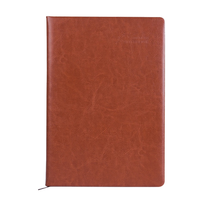 B5笔记本 XTL891 18K记事本116张大日记本子文具商务记事本办公用品 （本）