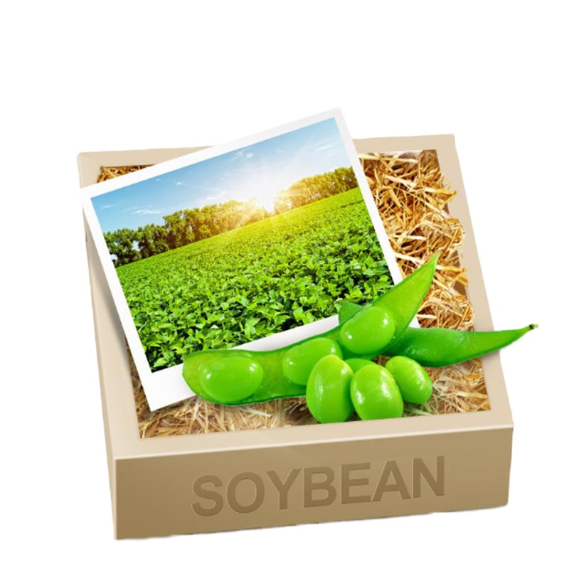 汤臣倍健 大豆磷脂软胶囊 100粒/瓶 中老年人保健品 辅助血管减压 改善血液供养循环 单瓶价