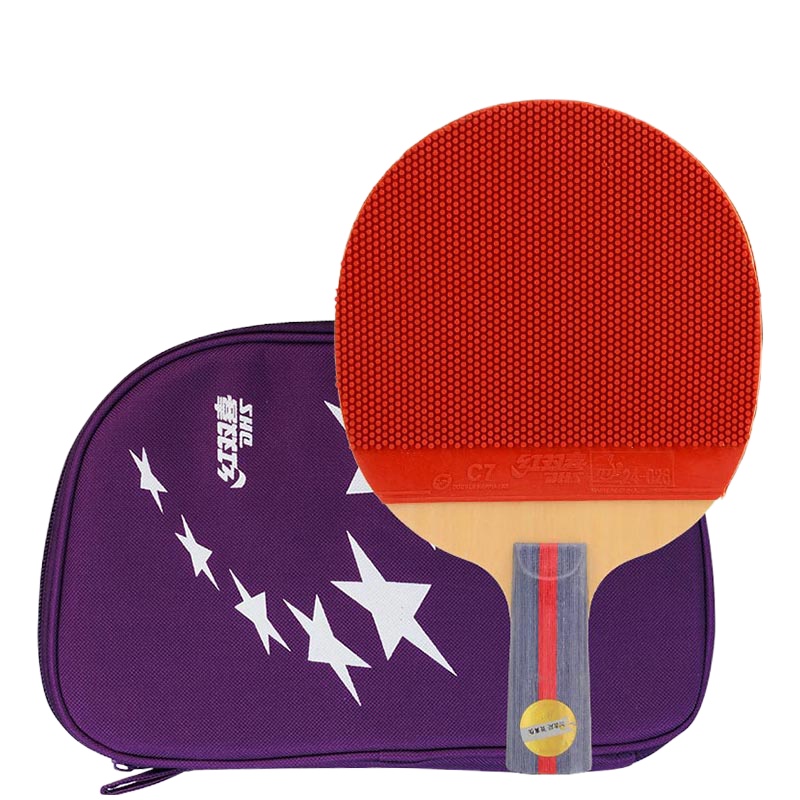 红双喜(DHS)二星双面长反胶乒乓球拍训练比赛用 T2007 直拍 两只装