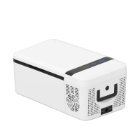 冰匠(BINGJIANG)车载小冰箱迷你小型家用寝室宿舍租房车家两用学生单人用15L