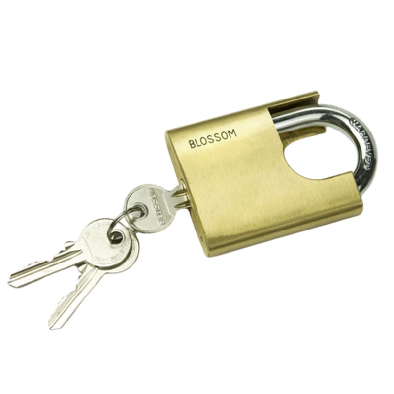 半包梁腰圆阿斯卡利铜锁_防水防锈防盗抗剪加固仓库大铁门弹子挂锁