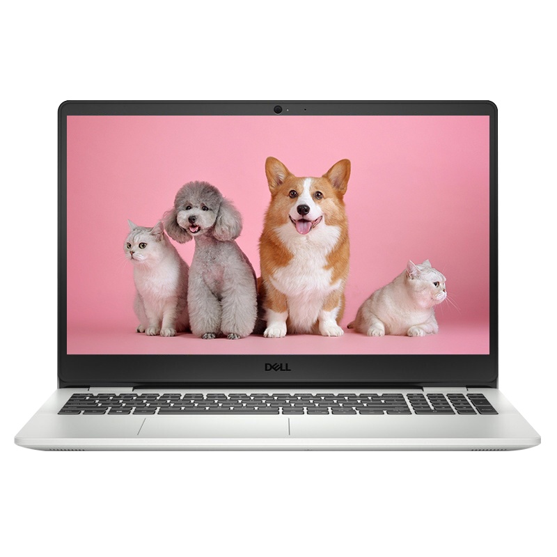 戴尔DELL灵越3501 酷睿十一代酷睿i7处理器15.6英寸 笔记本电脑 高配置大容量 独显 商务办公学习 轻薄便携手提电脑 银色(i7-1165G7 8G 512G 2G独显)