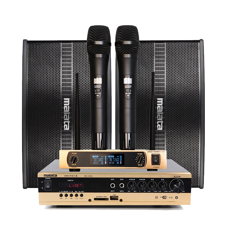 万利达(MALATA ) BT-206家庭影院ktv音响组合套装无线蓝牙 家用会议蓝牙功放音箱组合 卡拉OK会议舞台