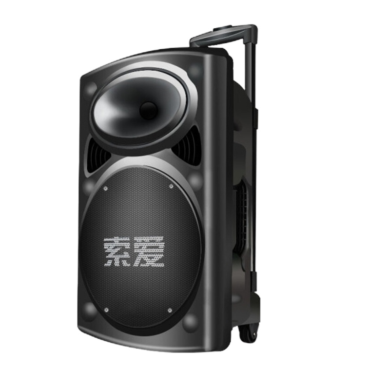 索爱（soaiy） SA-T19 户外音响 12寸大功率广场舞音响移动便携式蓝牙充电拉杆音箱+2只无线话筒