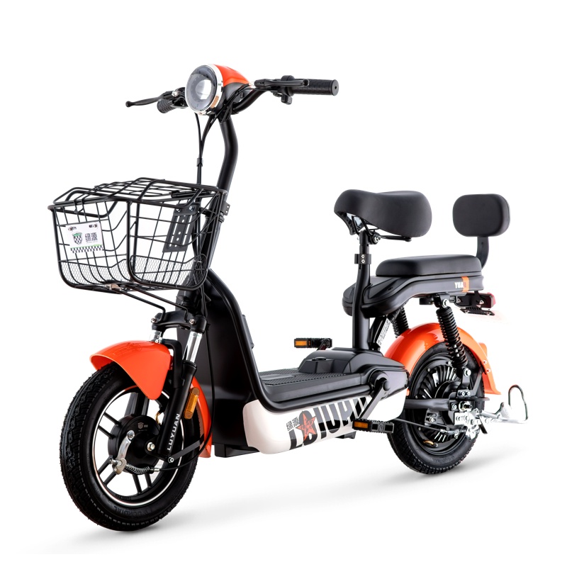 绿源新款电动自行车新国标小型成人电动车FBR双人男女代步电瓶车