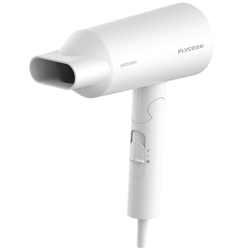 飞科 (FLYCO) 电吹风 FH6276