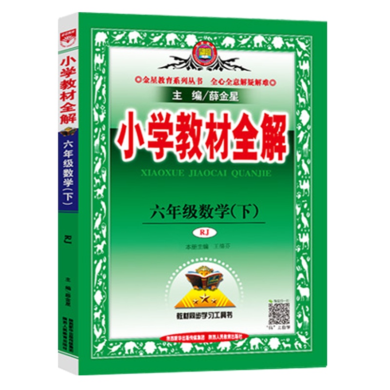 2021春 薛金星 小学教材全解六年级下册数学教材全解 人教版RJ 6年级下册数学书课本同步教辅 练习册小学教材全解