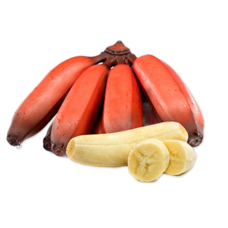 现摘现发土楼红皮美人香蕉应季香甜香蕉农家现发3斤红皮香蕉福建土楼新鲜美人红香蕉水果火龙蕉非小米蕉