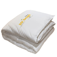 南极人(NanJiren)家纺 大豆纤维被子冬被被芯加厚保暖春秋被褥宿舍单人学生棉被四季通用
