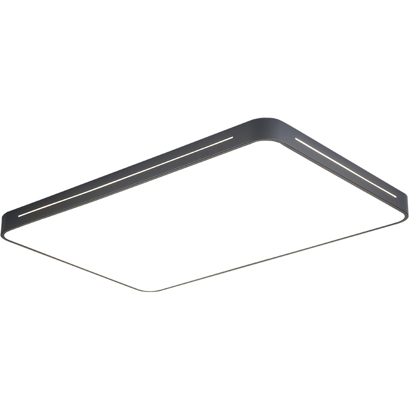 灯稀 简约现代客厅吸顶灯铁艺led灯具北欧风设计公寓样板房创意卧室灯