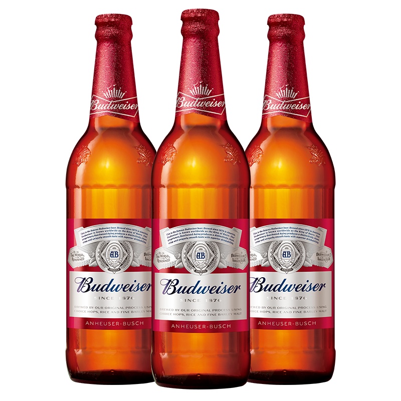 百威啤酒600ml*3瓶