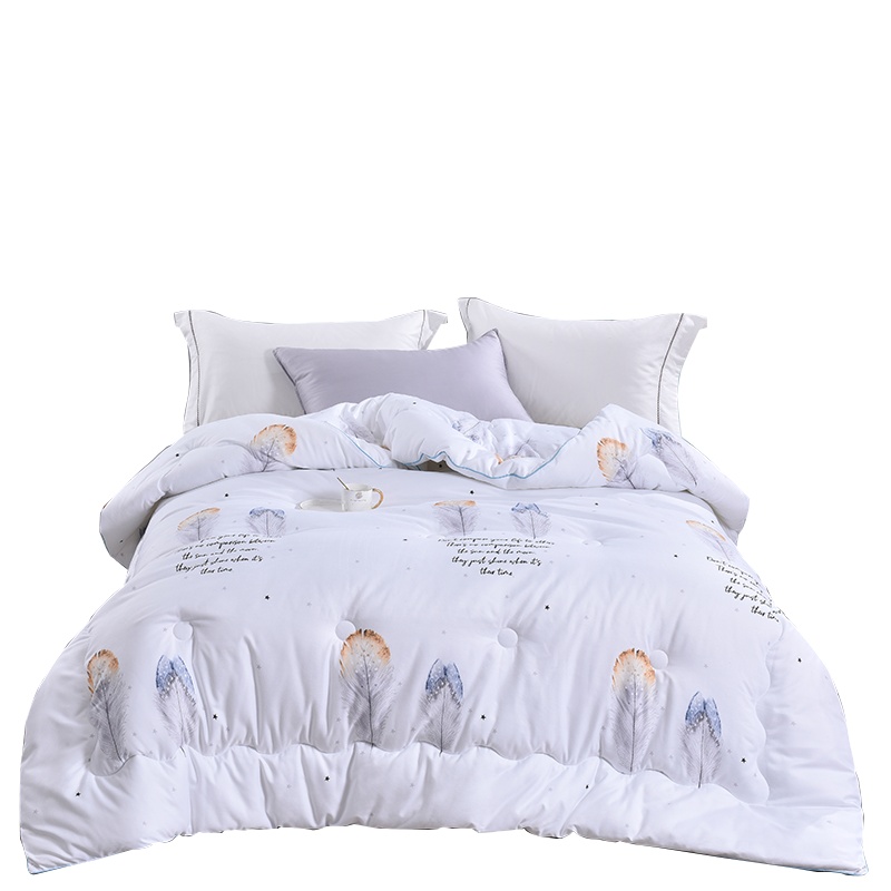 路易卡罗(Louiskellog) 夜影羽丝被毛巾绣水洗棉羽丝被加厚保暖冬被双人太空被单人棉被 单个价