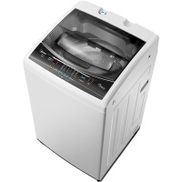 B80Q10 波轮洗衣机 8公斤 家用全自动免清洗 自清洁带甩干 十分钟快洗 品质电机