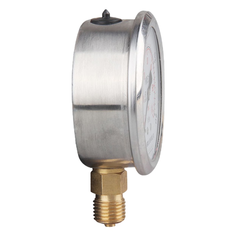 重齿 耐震不锈钢压力表 YN60BF 0-6.0Mpa 1.6级 英制螺纹2分(个)