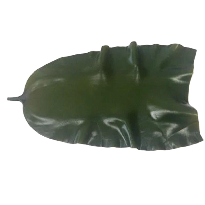 荣成特产海带盐渍海带头毛重5斤装 火锅凉拌专用 海带长头