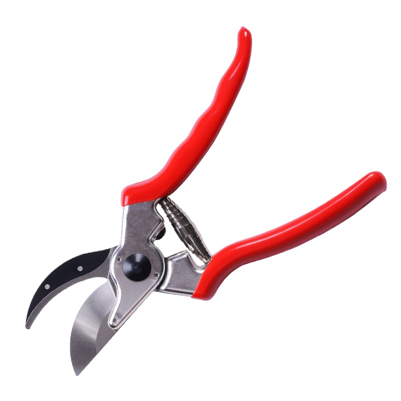 双箭树枝剪园艺剪A8-1 1把