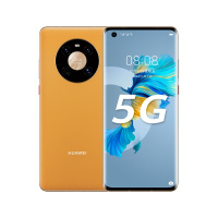 HUAWEI Mate 40 5G 全网通 8GB+256GB（秋日胡杨）手机