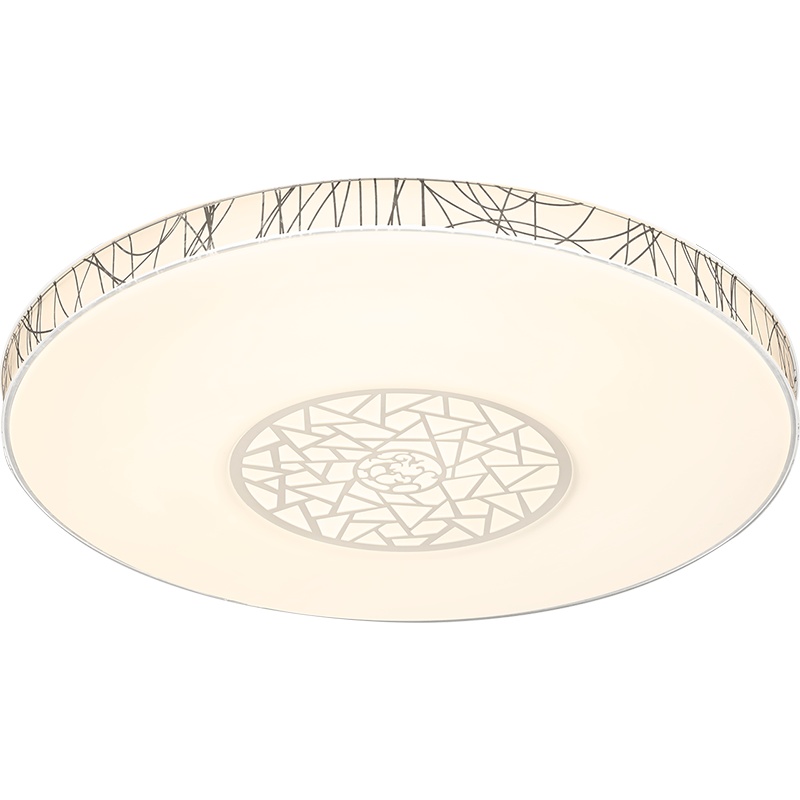 雷士照明（NVC）吸顶灯智能APP控制led家用客厅卧室灯房间吸顶灯北欧创意现代简约灯具 测试商品