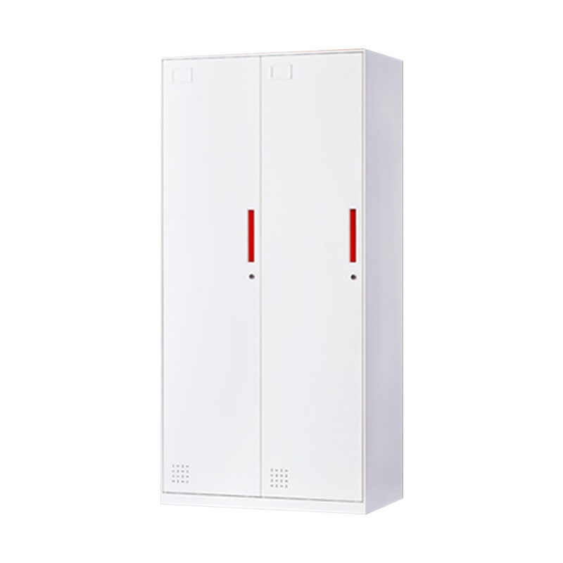 匡大 办公柜0.9米钢制铁皮储物柜2门更衣柜KD-G1009