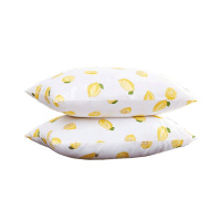 百丽丝家纺 水星出品 瑞怡/酸酸檬/维诺/洛尔舒适对枕