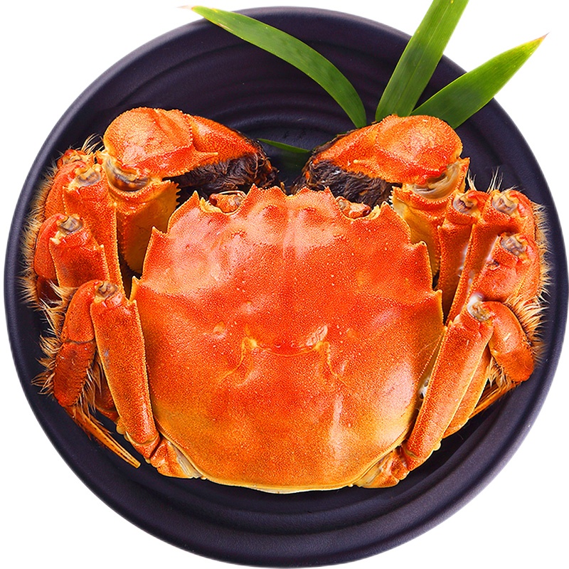 今旺甄选鲜活大闸蟹红牌蟹("阳澄湖大闸蟹"农产品地理标志使用授权品牌) 公蟹4两 母蟹2.8两 4对8只装活蟹