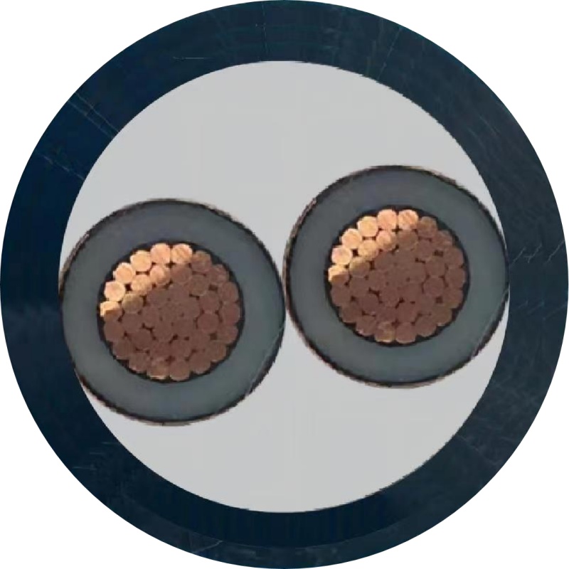 希飞牌 ZR-YJV-0.6/1KV-2*25mm² 阻燃铜芯低压电缆 元/米 联系客服 定制商品