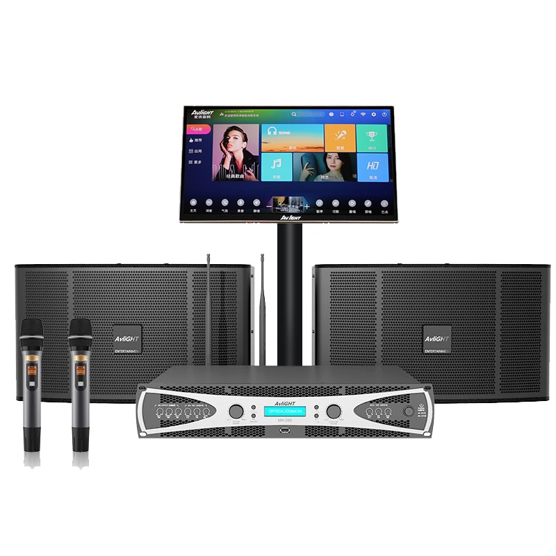 爱浪(AvliGHT) MK260-10 家用KTV音响套装家庭影院无线话筒会议室客厅卡拉OK音响点歌机