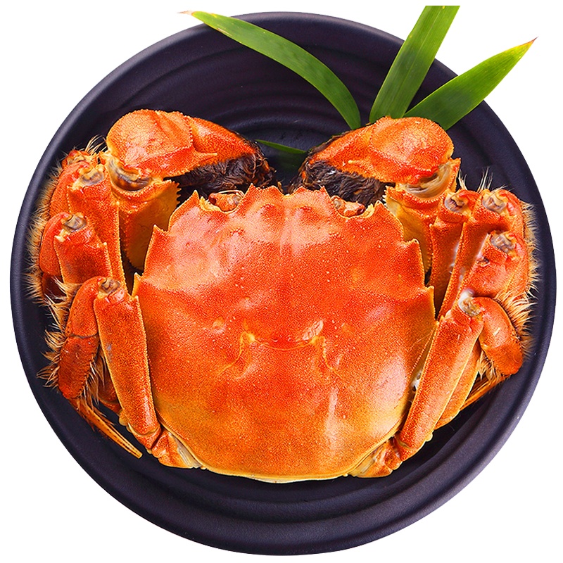 今旺阳澄湖大闸蟹严选精品鲜活螃蟹 公蟹4两 母蟹2.8两 4对8只装活蟹贵宾精致礼包装